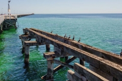 Busselton1